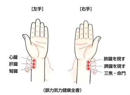 脈弦|東洋医学鍼灸の脈状～脈位の異常～翁鍼灸治療院